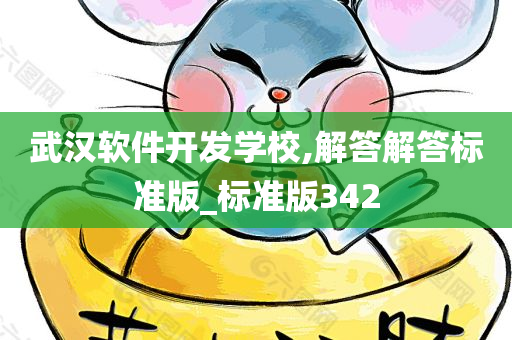 武汉软件开发学校,解答解答标准版_标准版342