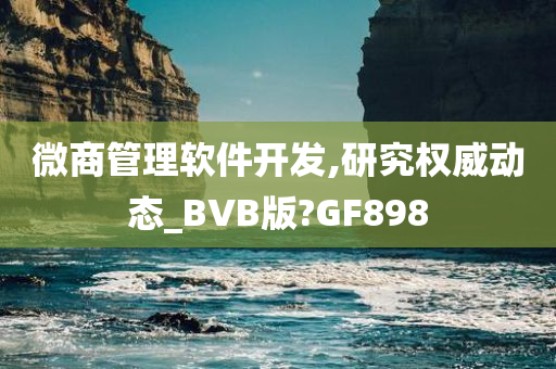 微商管理软件开发,研究权威动态_BVB版?GF898