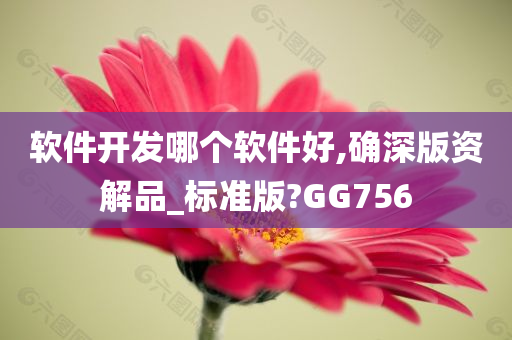 软件开发哪个软件好,确深版资解品_标准版?GG756