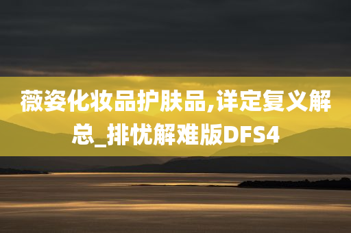 薇姿化妆品护肤品,详定复义解总_排忧解难版DFS4