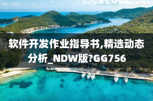 软件开发作业指导书,精选动态分析_NDW版?GG756