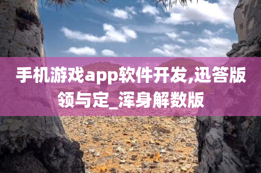 手机游戏app软件开发,迅答版领与定_浑身解数版