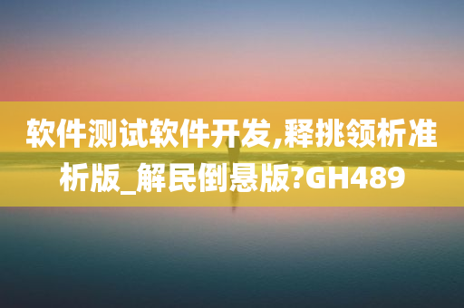 软件测试软件开发,释挑领析准析版_解民倒悬版?GH489