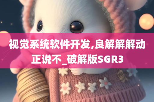 视觉系统软件开发,良解解解动正说不_破解版SGR3