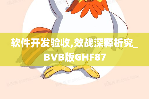 软件开发验收,效战深释析究_BVB版GHF87