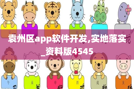 袁州区app软件开发,实地落实_资料版4545