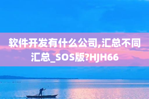 软件开发有什么公司,汇总不同汇总_SOS版?HJH66