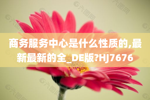 商务服务中心是什么性质的,最新最新的全_DE版?HJ7676