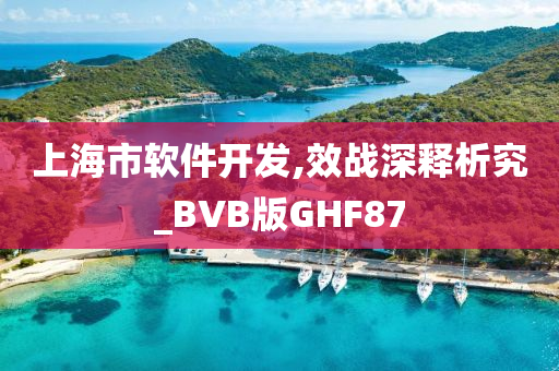 上海市软件开发,效战深释析究_BVB版GHF87