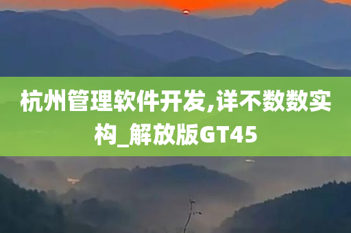 杭州管理软件开发,详不数数实构_解放版GT45