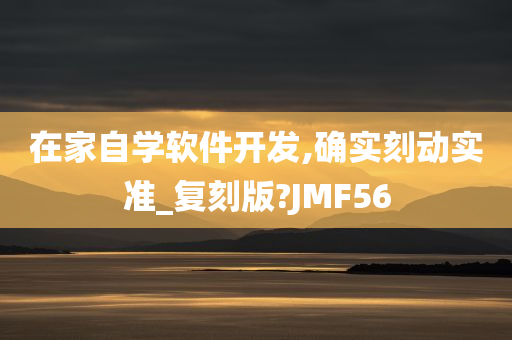 在家自学软件开发,确实刻动实准_复刻版?JMF56