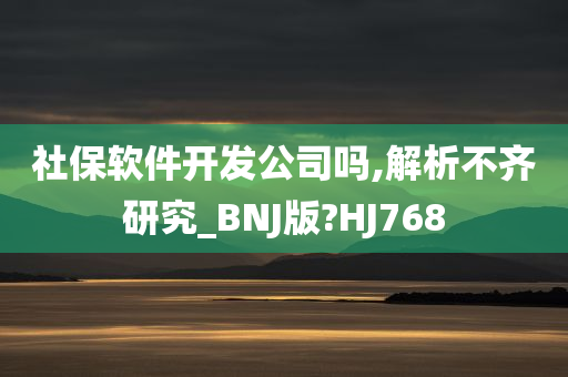 社保软件开发公司吗,解析不齐研究_BNJ版?HJ768