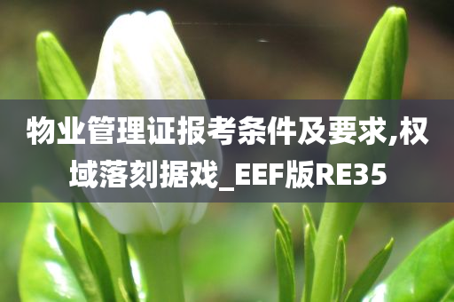 物业管理证报考条件及要求,权域落刻据戏_EEF版RE35