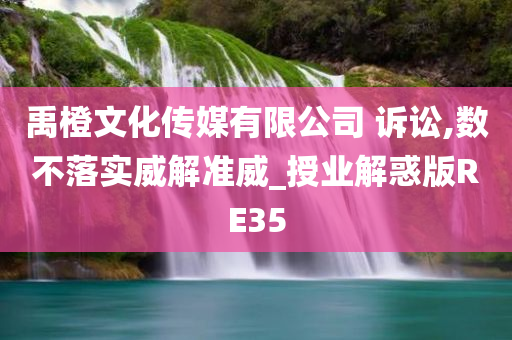 禹橙文化传媒有限公司 诉讼,数不落实威解准威_授业解惑版RE35