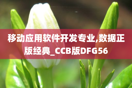 移动应用软件开发专业,数据正版经典_CCB版DFG56