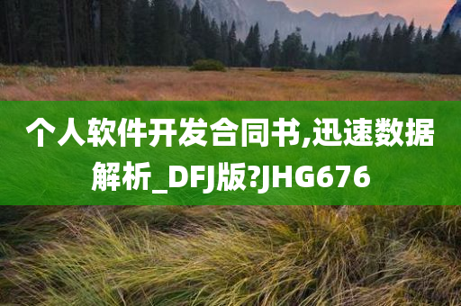 个人软件开发合同书,迅速数据解析_DFJ版?JHG676