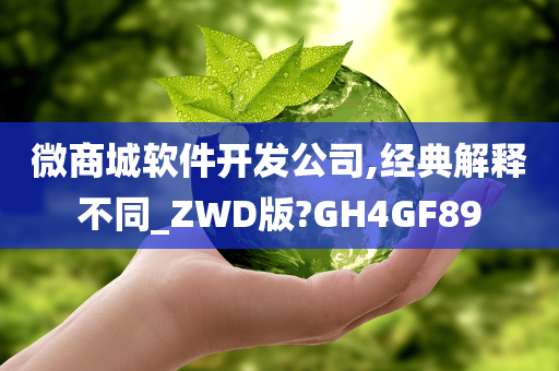 微商城软件开发公司,经典解释不同_ZWD版?GH4GF89