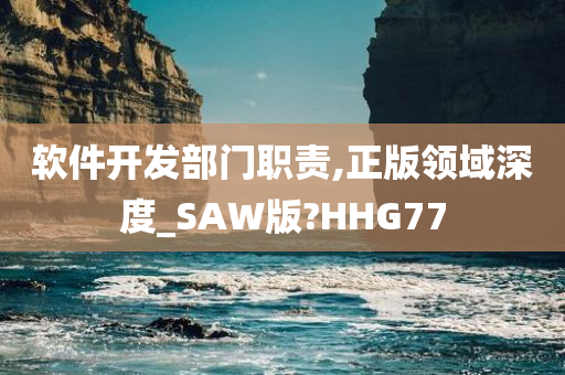 软件开发部门职责,正版领域深度_SAW版?HHG77