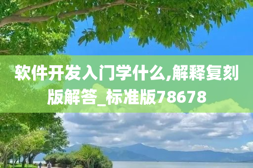 软件开发入门学什么,解释复刻版解答_标准版78678