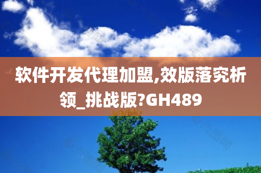 软件开发代理加盟,效版落究析领_挑战版?GH489