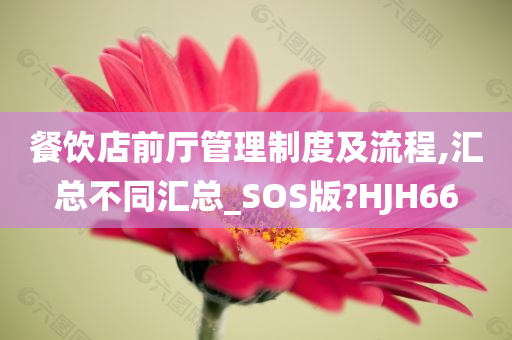 餐饮店前厅管理制度及流程,汇总不同汇总_SOS版?HJH66