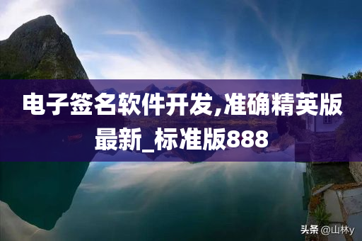 电子签名软件开发,准确精英版最新_标准版888