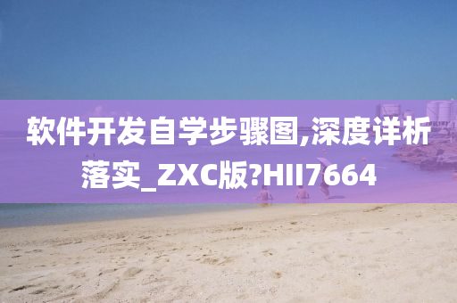 软件开发自学步骤图,深度详析落实_ZXC版?HII7664