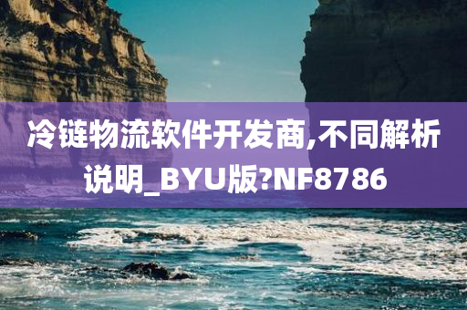 冷链物流软件开发商,不同解析说明_BYU版?NF8786