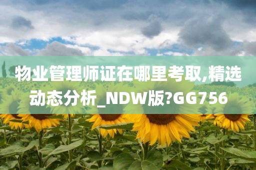 物业管理师证在哪里考取,精选动态分析_NDW版?GG756