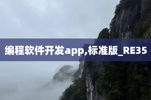 编程软件开发app,标准版_RE35