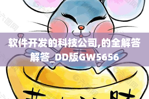 软件开发的科技公司,的全解答解答_DD版GW5656