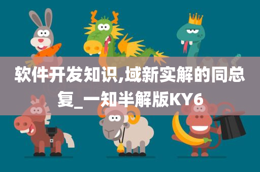 软件开发知识,域新实解的同总复_一知半解版KY6