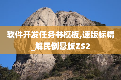 软件开发任务书模板,速版标精_解民倒悬版ZS2