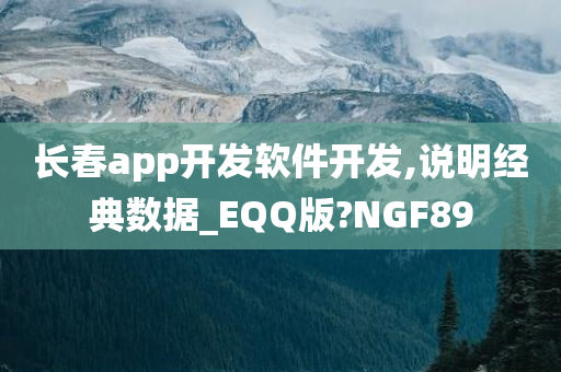 长春app开发软件开发,说明经典数据_EQQ版?NGF89