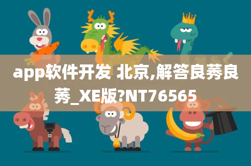 app软件开发 北京,解答良莠良莠_XE版?NT76565