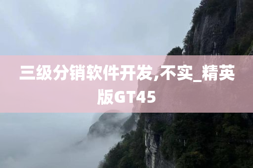 精英版GT45 第2页