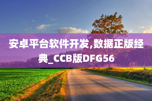 安卓平台软件开发,数据正版经典_CCB版DFG56