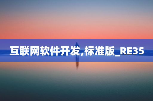 互联网软件开发,标准版_RE35