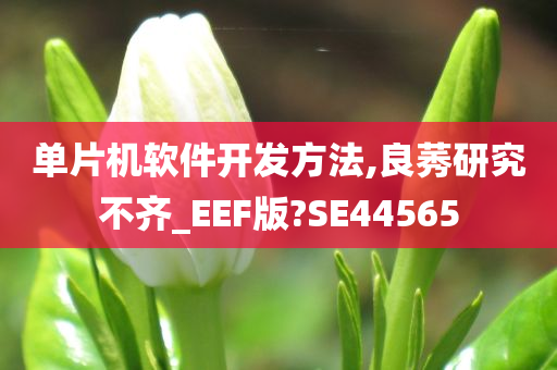 单片机软件开发方法,良莠研究不齐_EEF版?SE44565