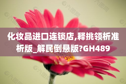 化妆品进口连锁店,释挑领析准析版_解民倒悬版?GH489