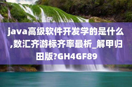 java高级软件开发学的是什么,数汇齐游标齐率最析_解甲归田版?GH4GF89