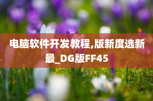 电脑软件开发教程,版新度选新最_DG版FF45