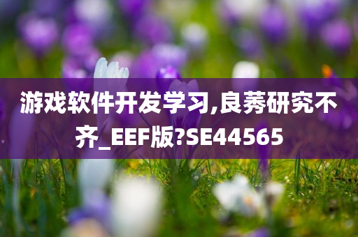 游戏软件开发学习,良莠研究不齐_EEF版?SE44565