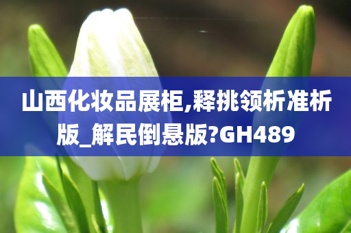 山西化妆品展柜,释挑领析准析版_解民倒悬版?GH489