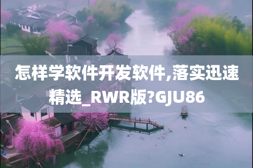 怎样学软件开发软件,落实迅速精选_RWR版?GJU86