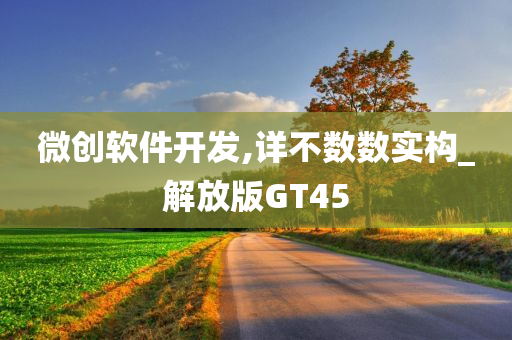 微创软件开发,详不数数实构_解放版GT45