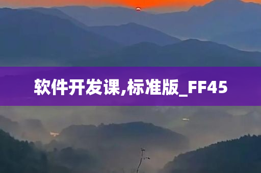 软件开发课,标准版_FF45