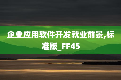 企业应用软件开发就业前景,标准版_FF45