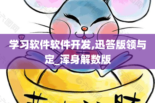 学习软件软件开发,迅答版领与定_浑身解数版