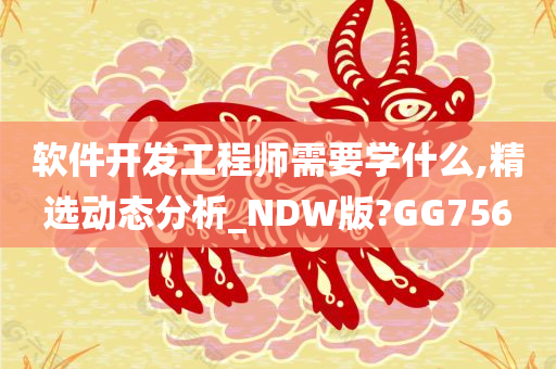 软件开发工程师需要学什么,精选动态分析_NDW版?GG756